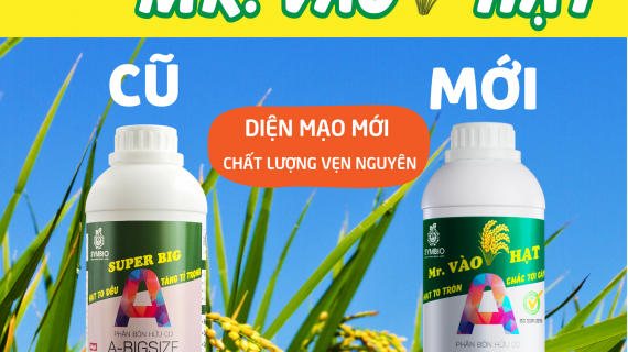 DIỆN MẠO MỚI CHẤT LƯỢNG NGUYÊN VẸN SUPER BIG ĐỔI TÊN THÀNH MR. VÀO HẠT