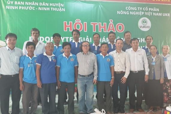 Ninh Phước, Ninh Thuận áp dụng giải pháp Endophyte