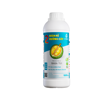 Số 2 - Kích Rễ Dưỡng Cây