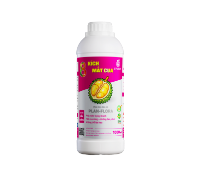 Số 8 - Kích Mắt Cua