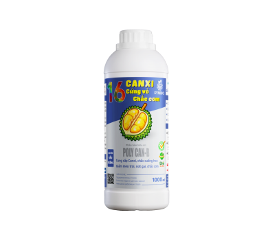 Số 16 - Canxi Cứng Vỏ Chắc Cơm