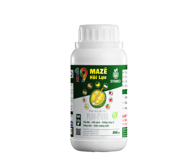 Số 19 - Maze Hồi Lực Cây
