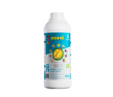 Số 2 - Kích Rễ