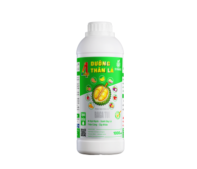 Số 4 - Dưỡng Thân Lá