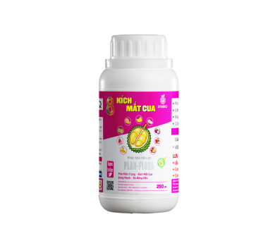 Số 8 - Kích Mắt Cua