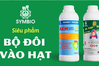 BỘ ĐÔI HOÀN HẢO VÔ GẠO