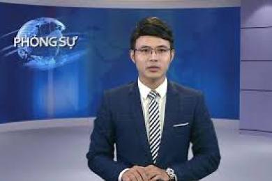 Tổng hợp các mô hình áp dụng giải pháp sinh học Endophyte tại Hải Dương