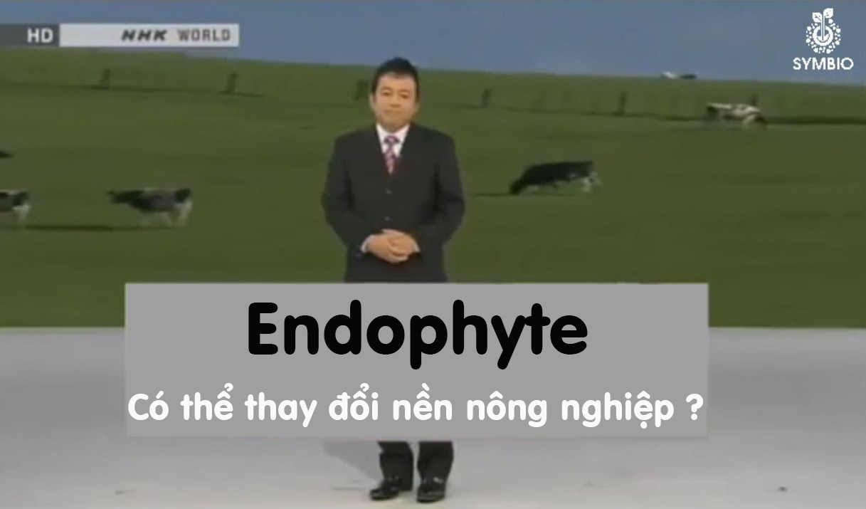 Endophyte có thể thay đổi bộ mặt nông nghiệp ?